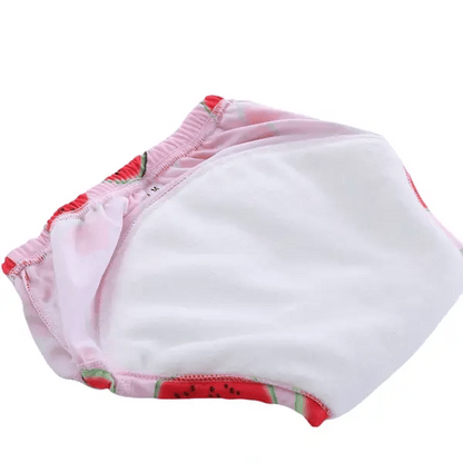 Potty Training Underwear